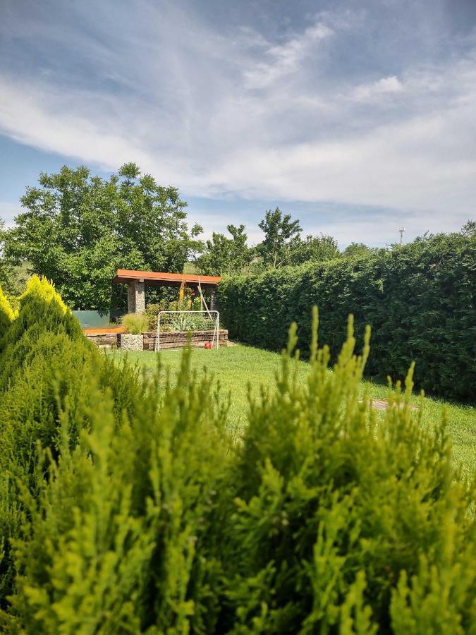 Apartament Privat Arcadia Podhájska Zewnętrze zdjęcie